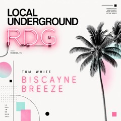 Tom White - Biscanye Breeze - Melodic House & Techno - Local Underground RDG 022