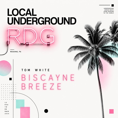 邦楽 SUPER DRIVE: ROUTE 1 - Techno Remix Ver. Stream Tom White - Biscanye Breeze - Melodic House & Techno
