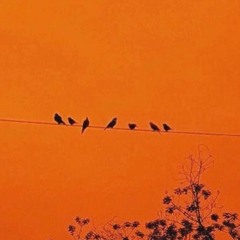 overange