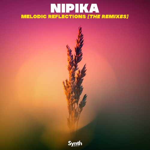 Nipika- Soft Sand( PoLYED Remix) [Synth Collective]
