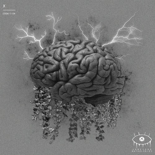 X - cognition