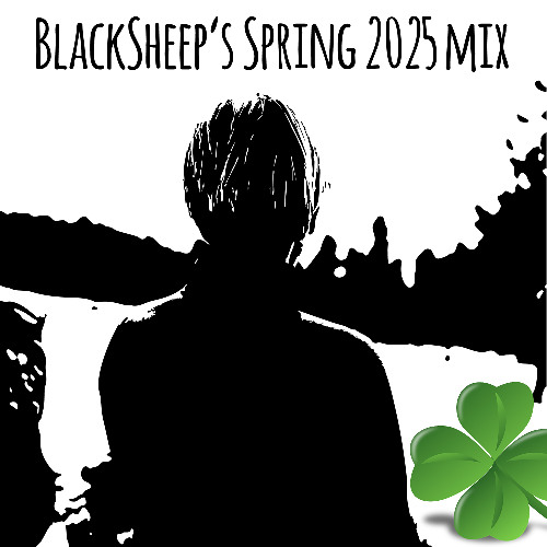 Blacksheeps 2025 Spring Mix