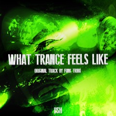 WHAT TRANCE FEELS LIKE EDIT (FREE DL)