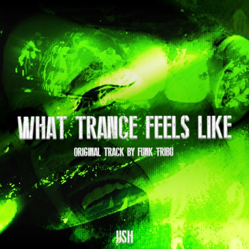 WHAT TRANCE FEELS LIKE EDIT (FREE DL)