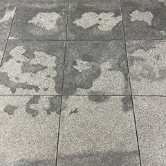 67