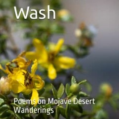 Open PDF Creosote Wash: Poems on Mojave Desert Wanderings by  Cameron D. Mayer