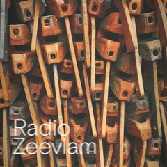 Radio Zeevlam - 17 december 2021