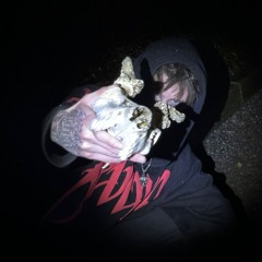 DEAD BODIES