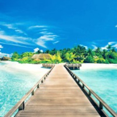 Vacation