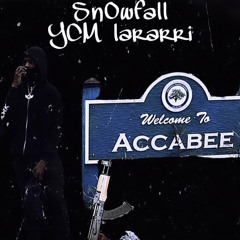 ycm lararri-snowfall(official audio)