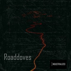 INDUSTRIALIZED #008 // Roaddoves [Paris, France]
