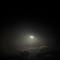 6 am - the creature was sitting under a lamppost