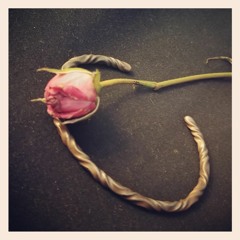 Fortune My Foe - cover