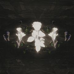 Windflower (euphorian, pixondle, Chalbért, and Hollimon Remix)