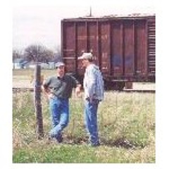 Every Night I Told You