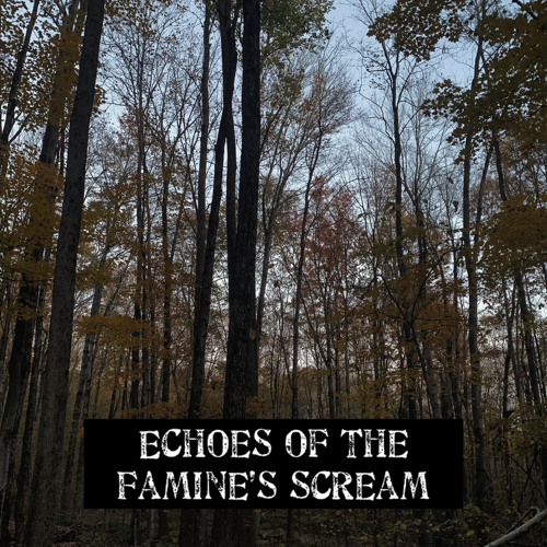 Echoes of The Famine’s Scream