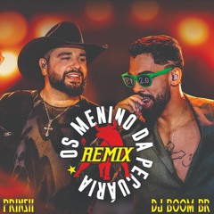 Léo & Raphael - Os Menino da Pecuária [PRINSH & DJ BOOM BR RMX][DL w/ Vocal]