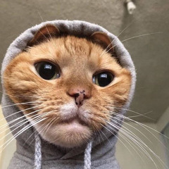 anhyeuemnhiulam