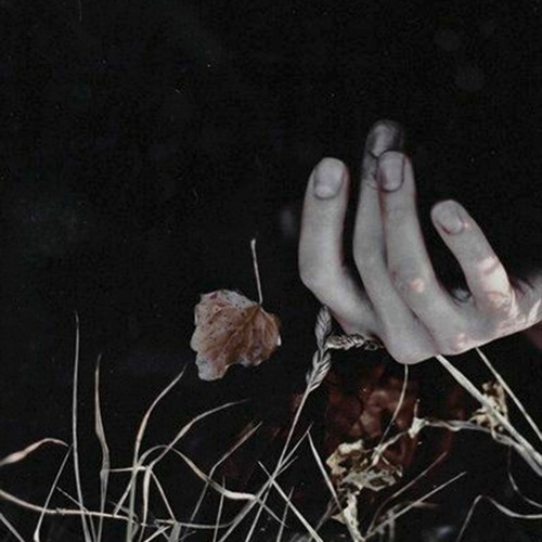 Paranoia Disorder (FREE DOWNLOAD)