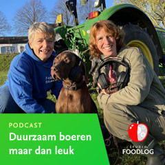 E2: Solidariteit door differentiatie