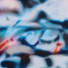 Shoal - Temporal Blend (ANIMA16)