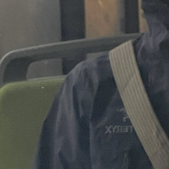 Waldbrand (leak) - Nina Chuba