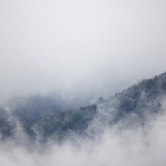 The Petrichor Of Anticipation