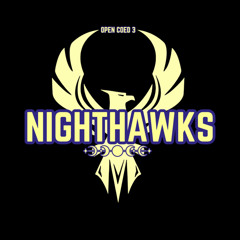 Nighthawks ECA25