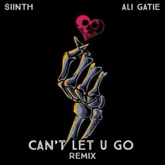 Can't Let U Go (SIINTH remix).mp3