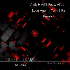 Alok & VIZE Feat. Alida - Love Again (Tom Blitz Remix)