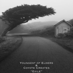 Exile (feat. Coyote Creates)
