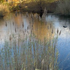 Inmybodyy w hashtag6