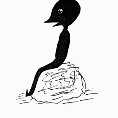 Púca
