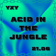 Acid in the Jungle - YXY