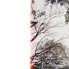 そして僕は途方に暮れるcover