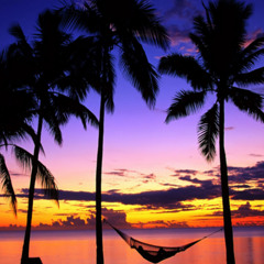 Tropical House Mix 2hrs - Escape to Paradise