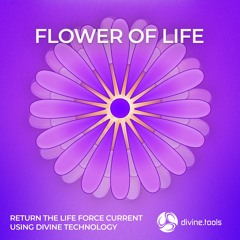 Flower of Life Activation - We Reclaim Life - 3 Minute Demo (www.divine.tools)
