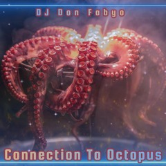 Connection To Octopus