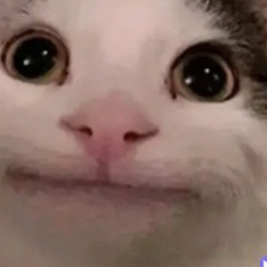 TekkeInDieFresse🥴