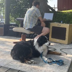 do what you fucking love