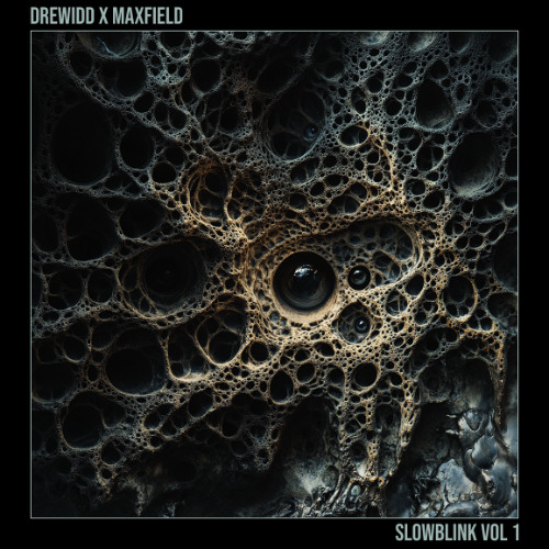 Slowblink Vol.1 (Drewidd x Maxfield)