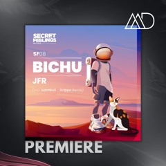 PREMIERE: JFR - Bichu (Saintbull Remix) [Secret Feelings]