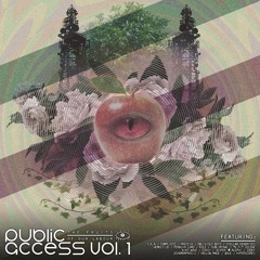 Subliminal - Bitstream Echoes