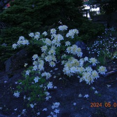 ramblin' round (woody guthrie)