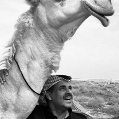 ظروفنا ما تستحي وأيّامنا ماهيب ريف