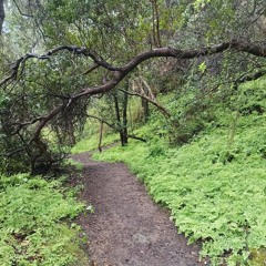 vuelve pronto a casa