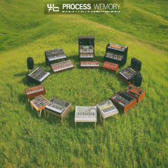 PREVIEW: wemory - "The Process" EP (Incl. DJ SUN Remix and PYLOT Remix)