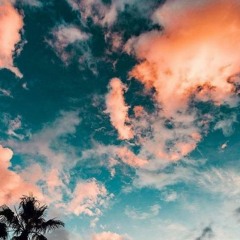 VAPES SUCK (flip)