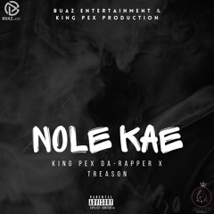 NOLE KAE(Official Audio)ft Treason.mp3