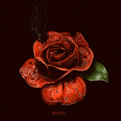 Brazy      feat.(youngfunnesse X YUNGSINE